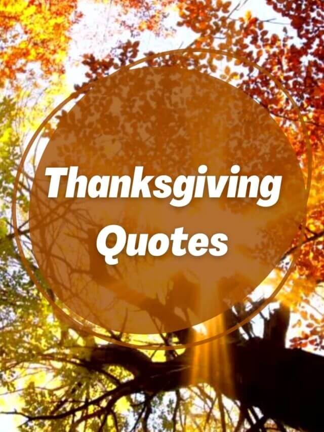 50 Thanksgiving Quotes To Sharethe Spirit Of Thankfulness & Gratitude 