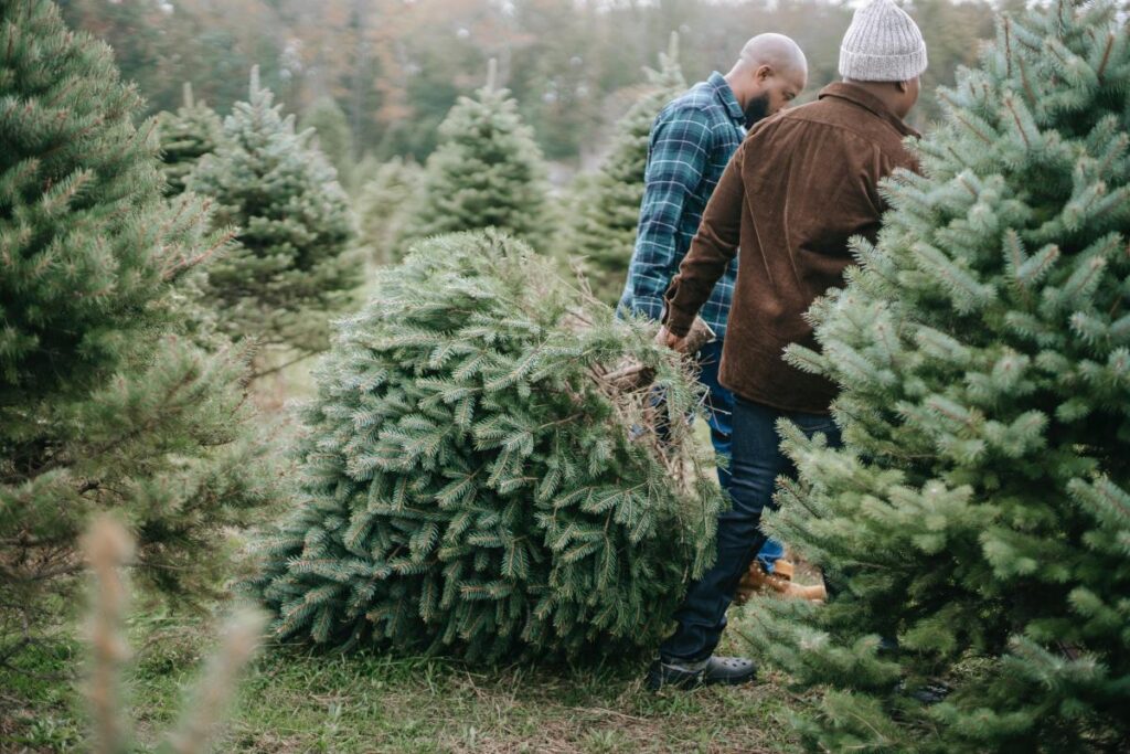 2024 christmas decoration ideas