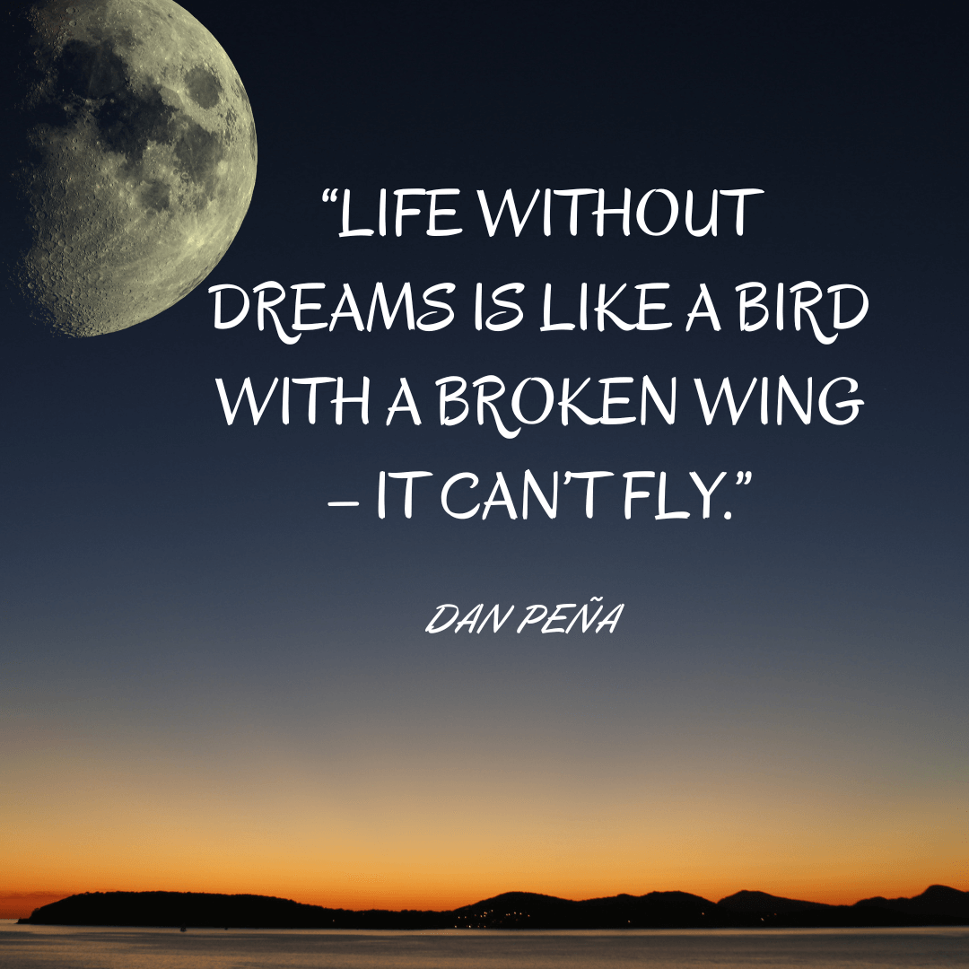 33 Dream Quotes For Motivation And Inspiration Grrlwithdreeams