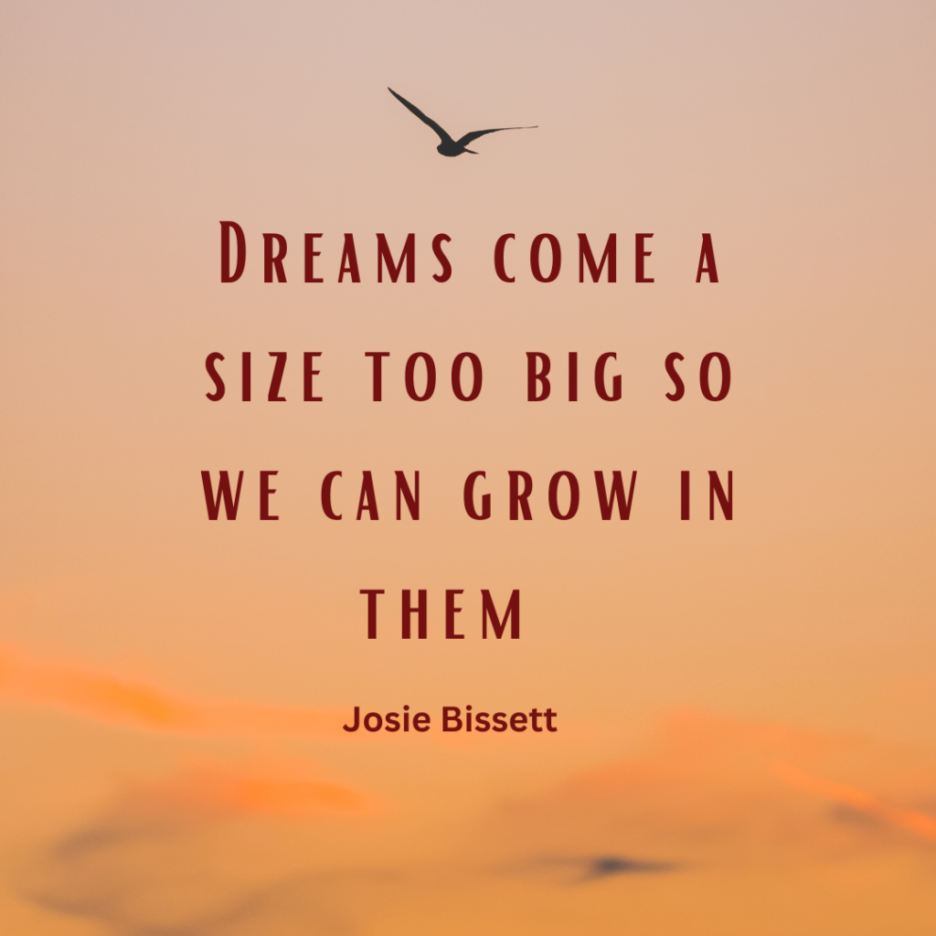 33 Dream Quotes For Motivation And Inspiration - Grrlwithdreeams