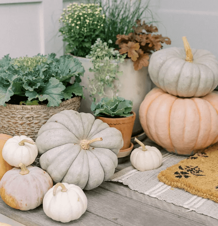 Fall outdoor Decorations ideas