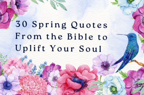 Spring Quotes From the Bible