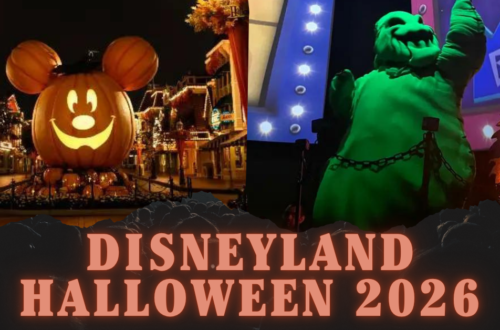 When Does Disneyland Decorate for Halloween