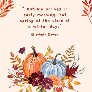 26 Inspiring November Quotes to Welcome the Month with Gratitude ...