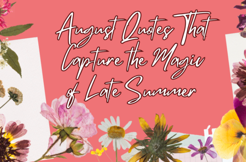 August quotes